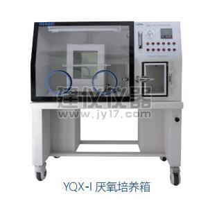 YQX-Ⅰ厌氧培养箱